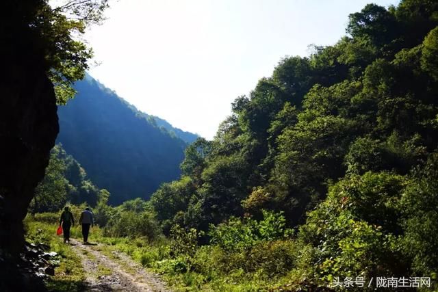 这个夏天，来甘肃徽县龙潭坝寻觅一片诗意山水