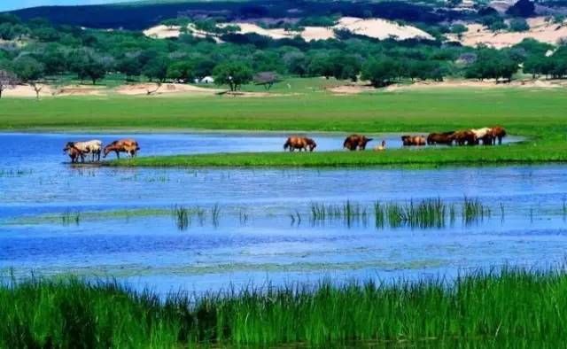 内蒙古十大最受欢迎旅游景点，身为包头人，你都去过了吗？
