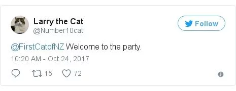 (文摘)从流浪猫到新西兰“第一猫” 这只橘猫用短短一生照亮了世界 - aihua191 - aihua191的 博 客 (文摘)从流浪猫到新西兰“第一猫” 这只橘猫用短短一生照亮了世界 - aihua191 - aihua191的 博 客