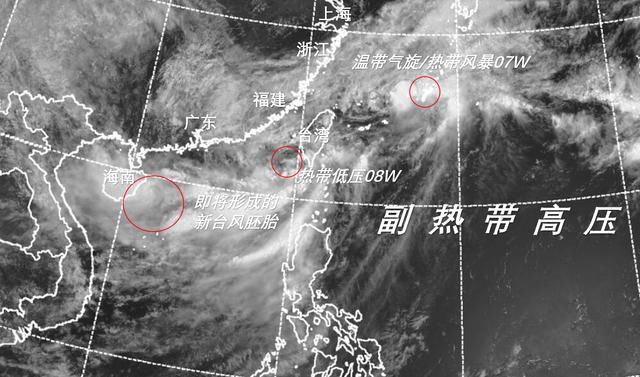 雨带里憋出“土台风”？多个台风胚胎在南方近海形成，南方人小心