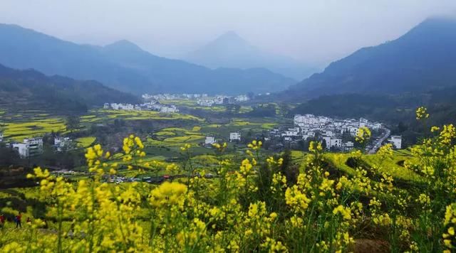 农村集体土地无须国家征地即可进入市场，租赁住房将获快速审批！