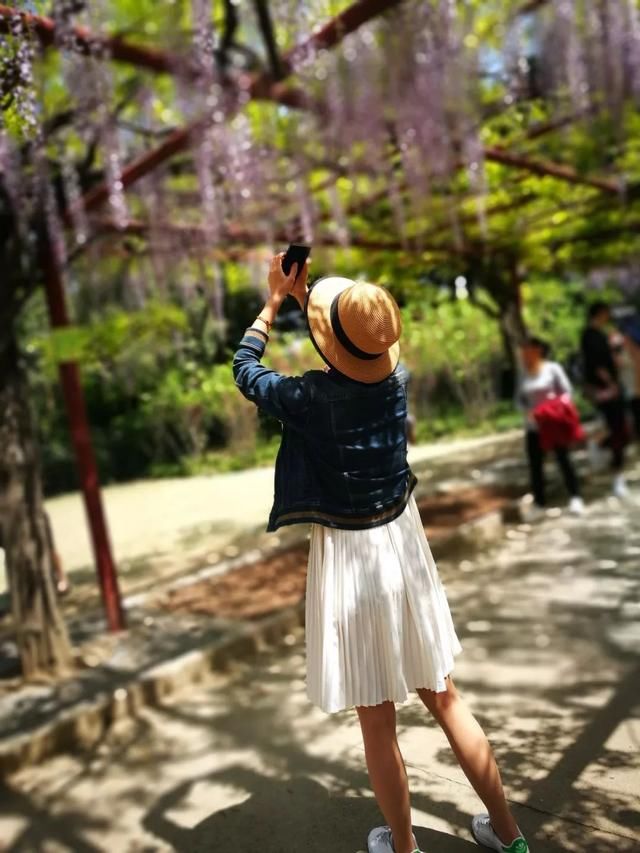 你家的盆栽到啦！快来领取！