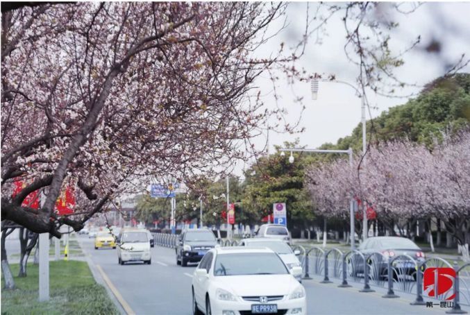 重要通知!2019海峡两岸马拉松比赛路线及期间