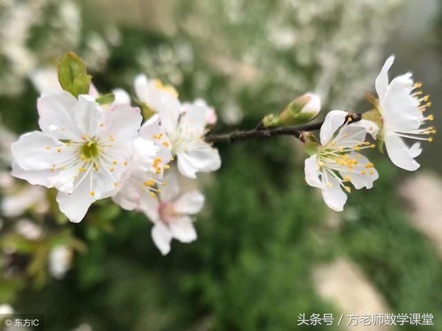 方老师信箱:孩子初一数学成绩不好?有没有诀窍