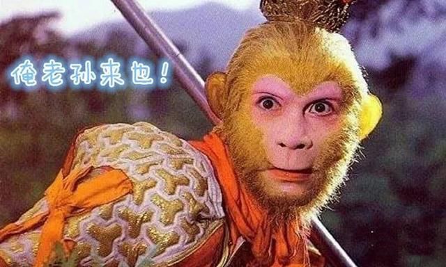 家乐邦滨州运营中心孙义兵-滨州市装修辅料业