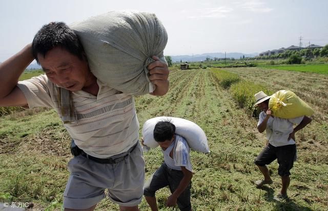 专家提出搞农村房地产市场，这对农民是大好事，但4点疑问难解决