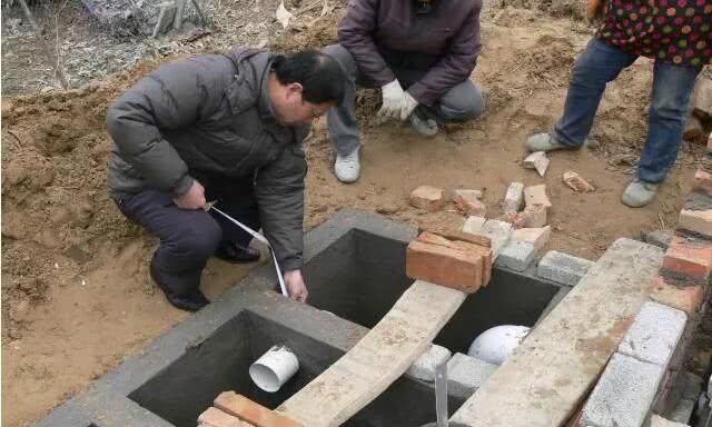 发财中国年！农村人年后家门口就能赚钱的行业，比打工强太多