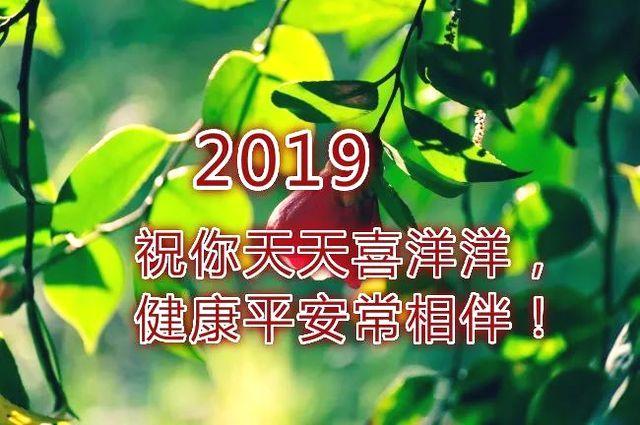 新的一年早上好祝福语 2019早上好图片表情图