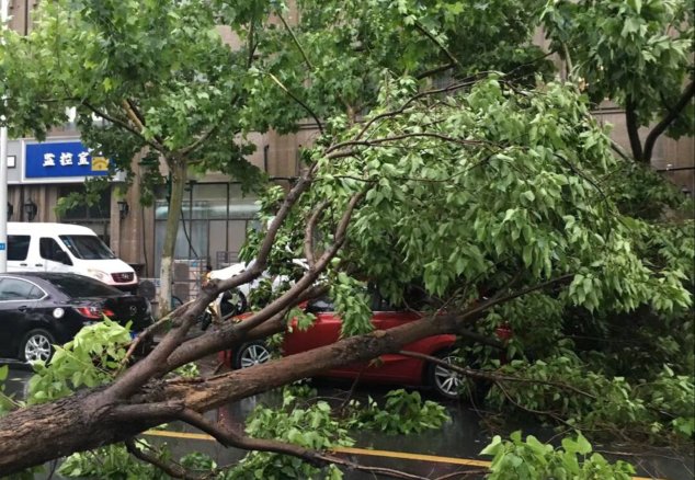 【滚动】强降水云团已移出宿迁？小心雷阵雨玩“回马枪”