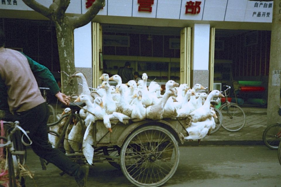 熟悉的旧日成都街景 1991年2月春节前夕