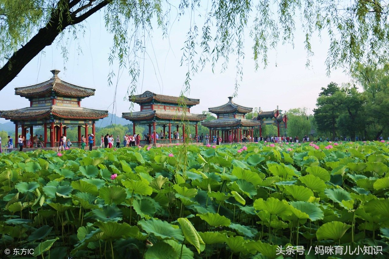 旅游:“避暑山庄”，夏季到了，避暑的好地方