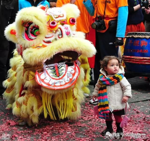 荷兰媒体广泛报道中国新年和荷兰的新年活动