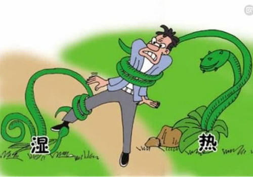 一天到晚没精神、想睡觉,到底什么原因