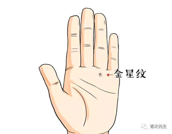这几处有金星纹,未来一片光明