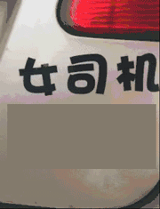 搞笑GIF段子看,这就是二哈和狼的区别~