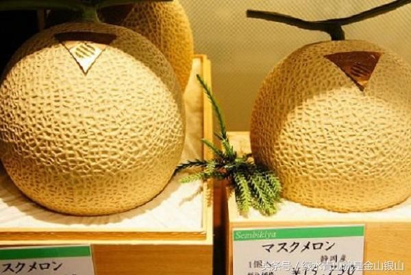 为什么?世界十种最贵的水果中国1种,日本有8种
