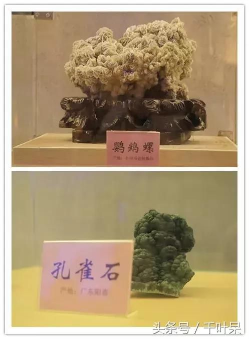 五一小长假，达州这个国家级地质博物馆将免费开放！