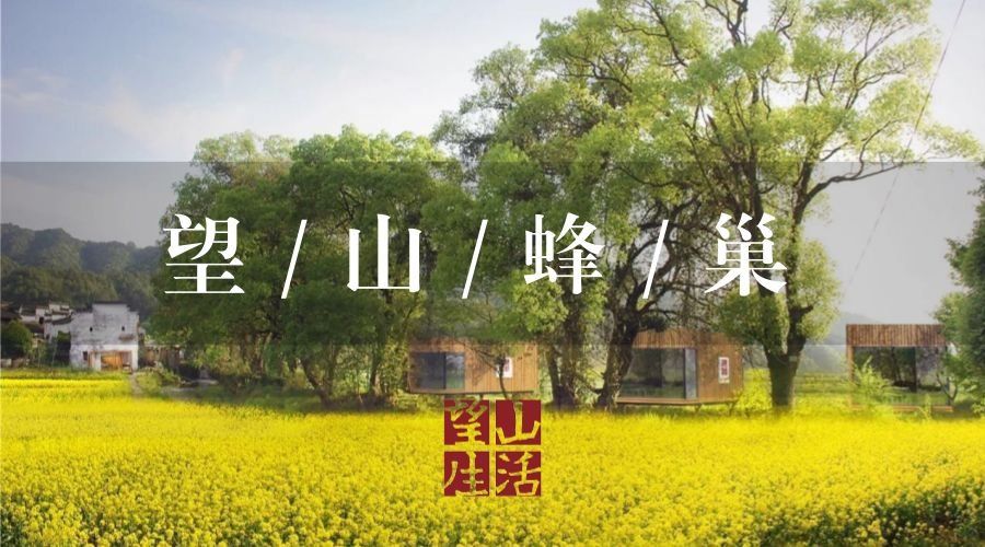 中国买房团盯上日本传统民居，日本建筑师竟大力支持?!