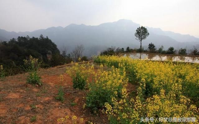 全球最险的一块空中稻田就在中国 位于2000米山峰之巅