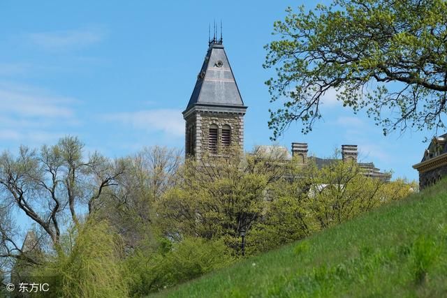 家有高中生美国留学本科申请规划