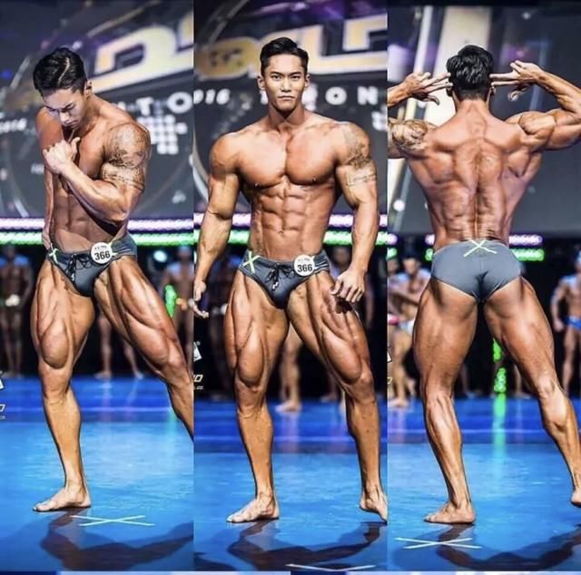 健美运动员_职业健美运动员收入(2)