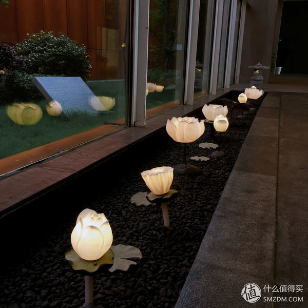 再游南京的那两天，我去了这些地方