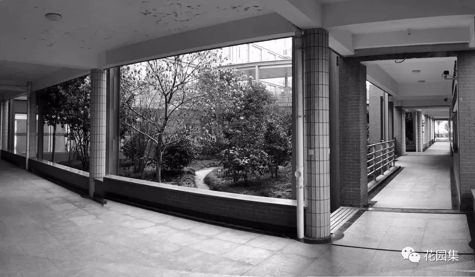 2019庭院设计新名词--树桌花园