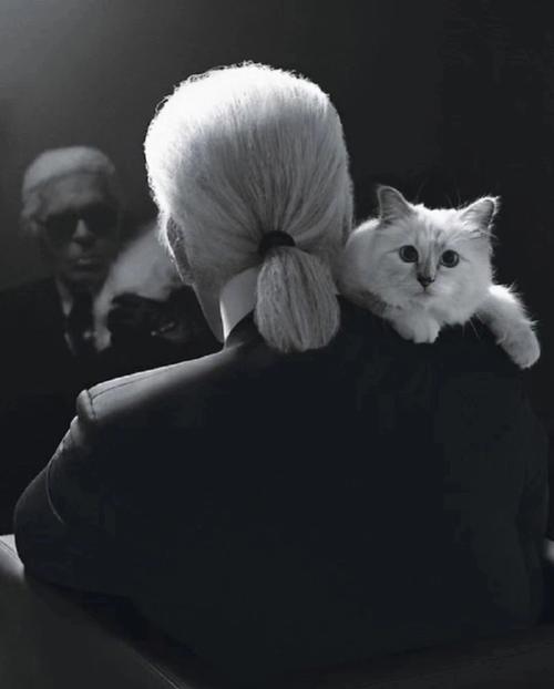 香奈儿的老佛爷不止做时装 这些奢牌酒店中藏