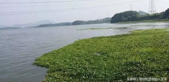 如果没有鄂州,湖北会变……