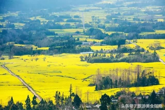 旅游推荐丨云南最美的地方，不是丽江，不是大理，而是这里……