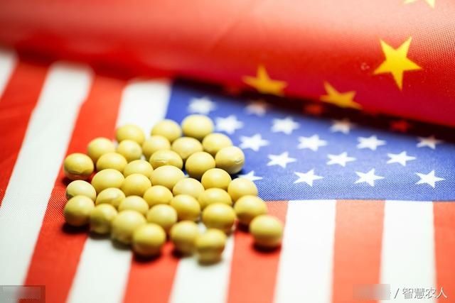 中国对进口美国大豆放大招，原来在美国当农民也不容易！涨见识了
