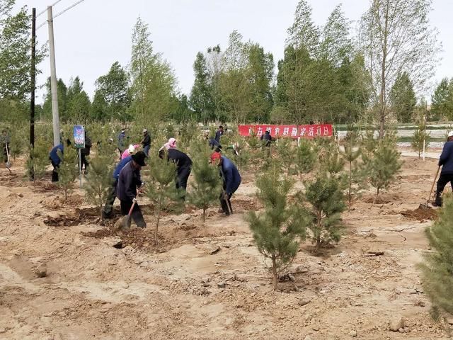 南古镇:党员固定活动日植树造林助力美丽乡村