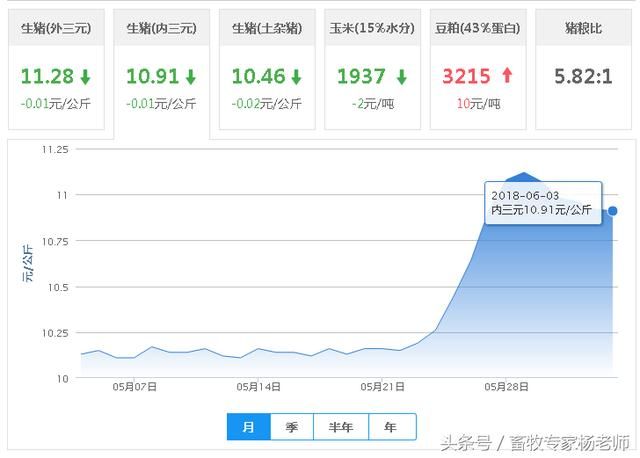 短暂的疯狂已过，猪价降价已成定局