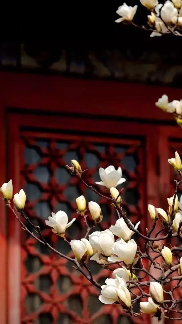 何为人间清欢 t0109d80310845c4bfb.jpg