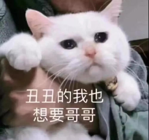 有史以来最骚表情,撩妹表情SSS,敢发给女指数包图神斗图片