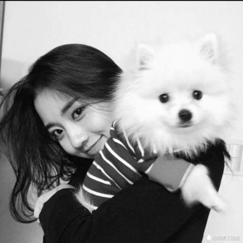 12句致自己的短句子,所有事,你用不用心,时间都