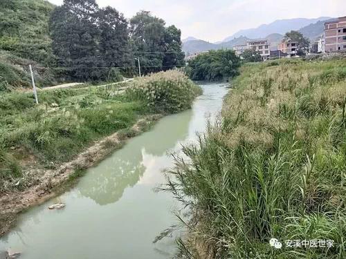 山歌好比春江水双手钢琴曲谱