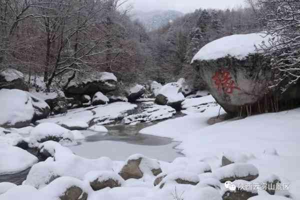 旅游 正文 云雾山风景区位于位于秦岭南麓,勉县新街子镇以北33公里