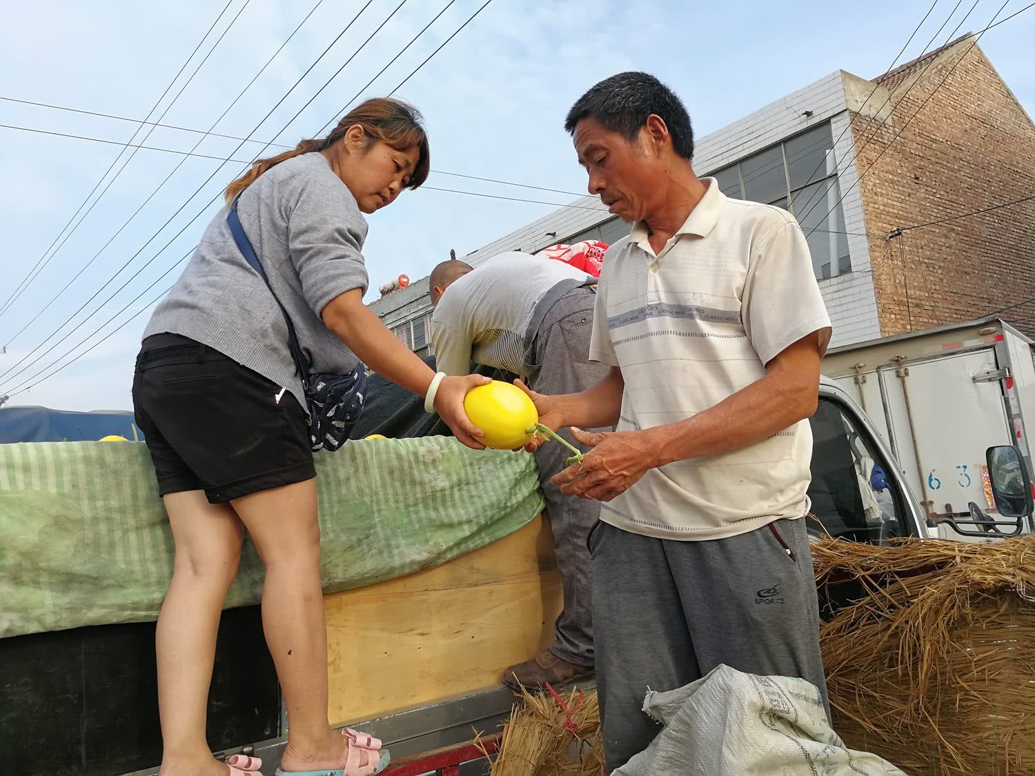卖瓜难,瓜农卖瓜一天跑了六趟,今年种瓜算是白忙活了