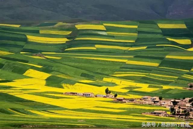 2018全国最美的油菜花你准备好去看了吗