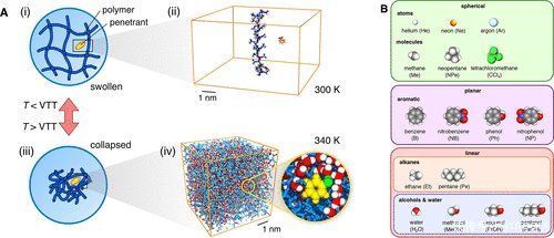 《纳米》分子渗透剂形状和化学如何控制响应性