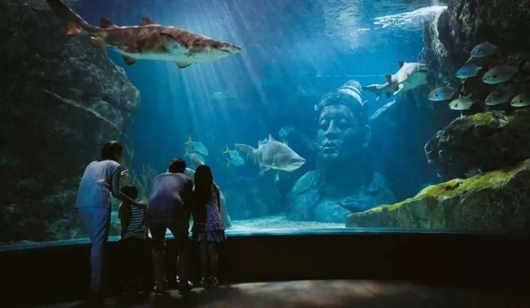 【泰国】老司机开车不走寻常路，私人定制小包团去曼谷