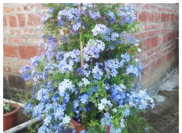 有人生深度的一句话