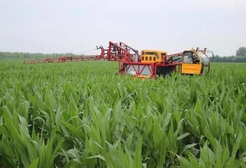 2019年;三农问题是个大事情!新出炉的新政策,