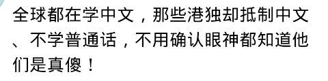 在国外跟朋友聊天，下一句被老外用中文接住是一种什么样的体验?