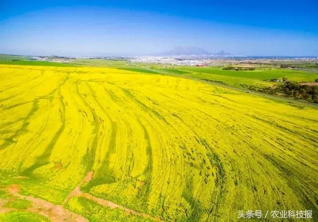 【重磅】土地又改革了？有户口却没有土地，该怎么办？