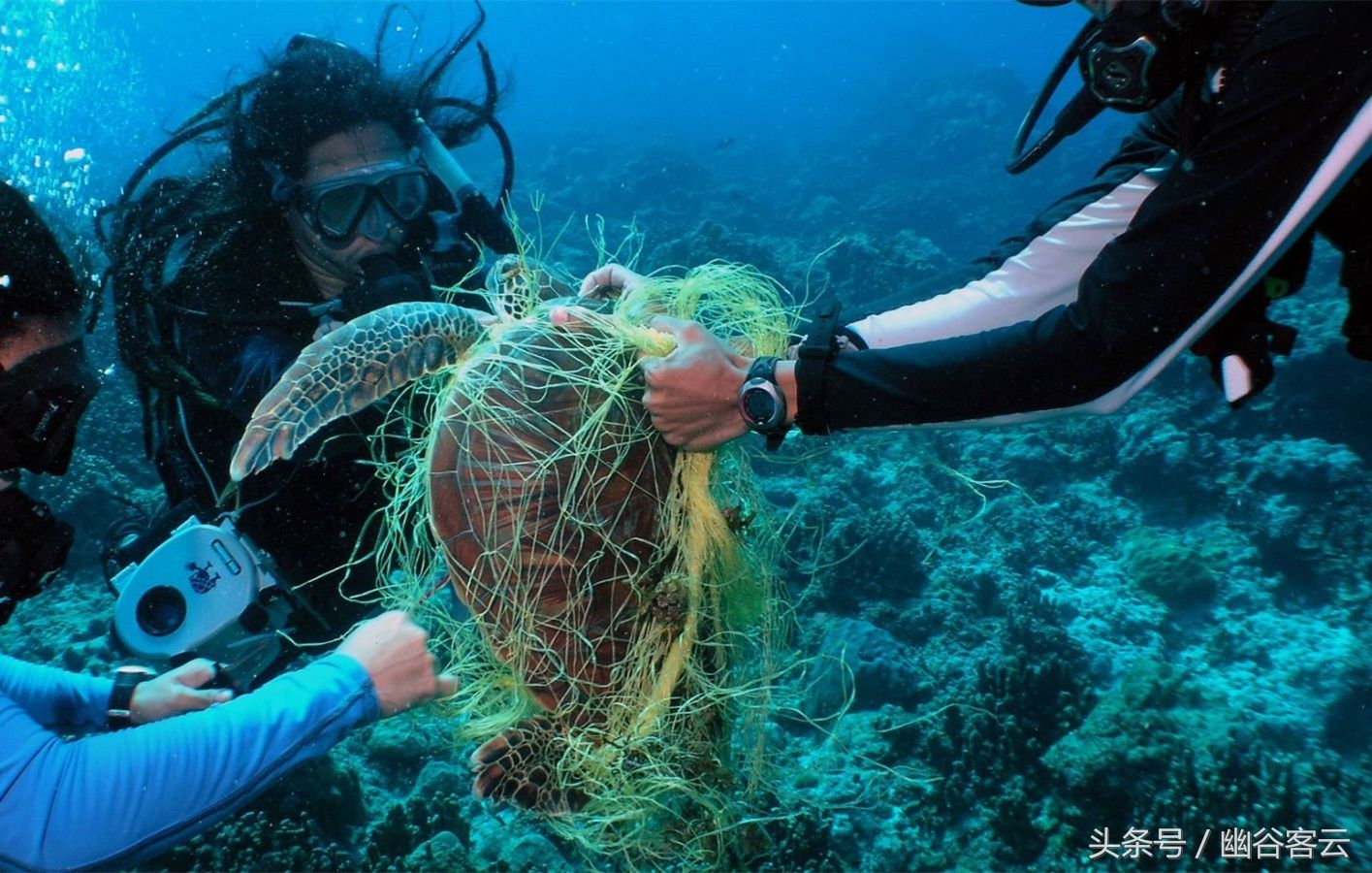 全球第一大的垃圾场:不在陆地上而在海洋里，面积相当于四个日本
