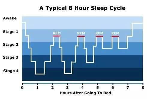 睡觉必须睡够八小时吗