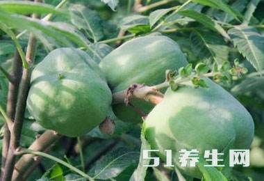 大山里藏着的这7大“山宝贝”,你是否全都认识?第4种像“石榴”