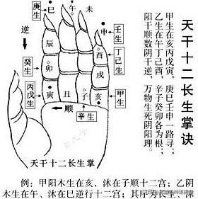 t010c6ff54a6f78863f.jpg